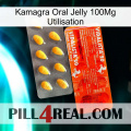 Kamagra Oral Jelly 100Mg Use new01
